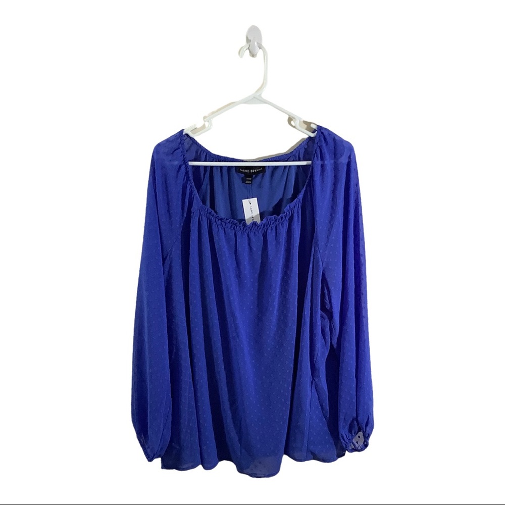 Lane Bryant Blue Popcorn Chiffon Blouse